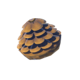 Hylian Pine Cone